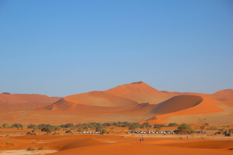 Dunes de sable rouge