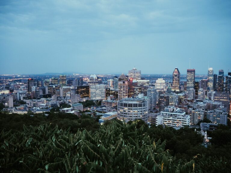 Montréal vue du mont Royal