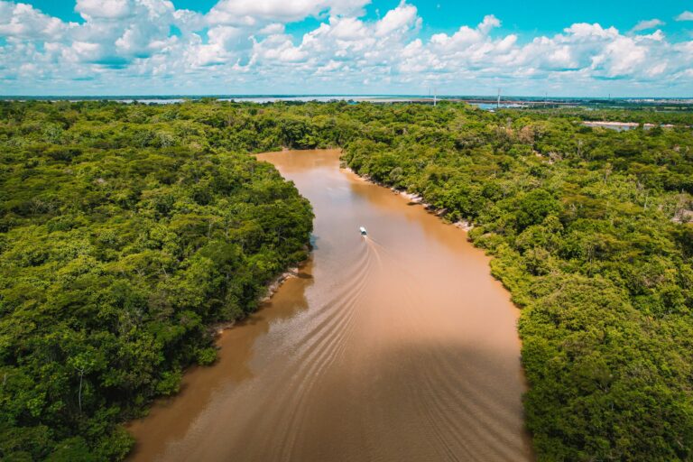 Rivière au milieu de la forêt tropicale