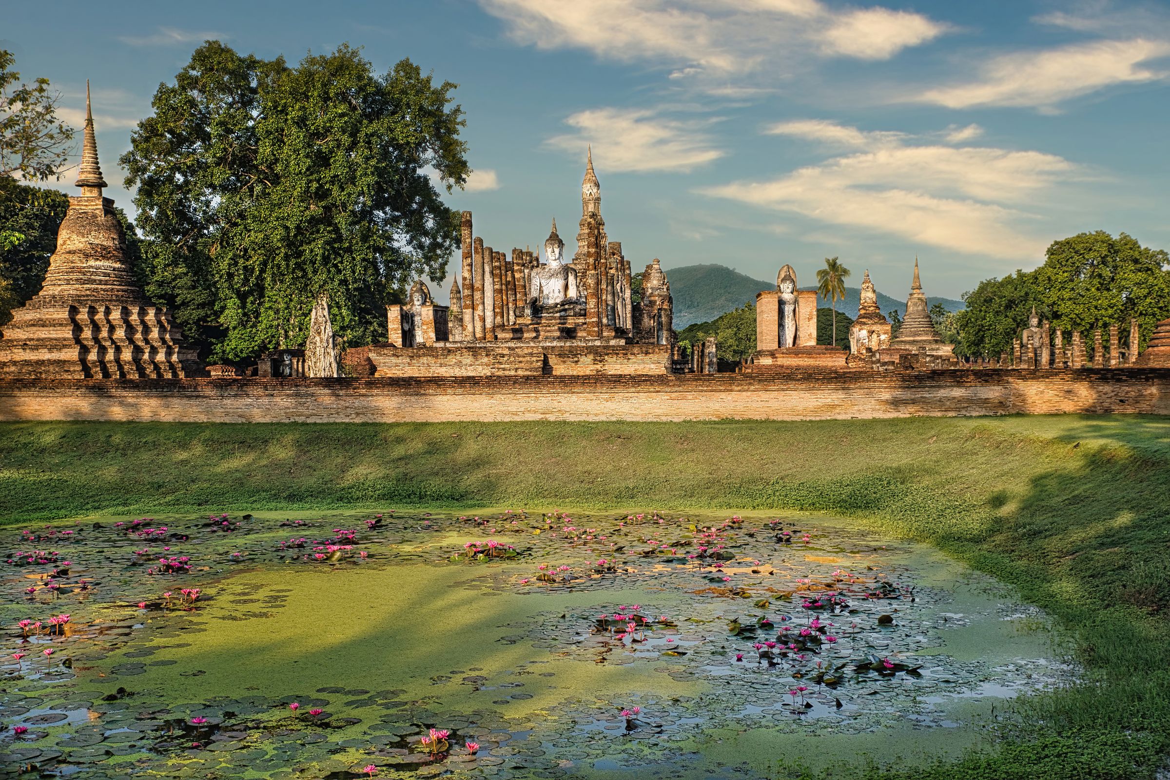Temples anciens et étang de lotus en Thaïlande